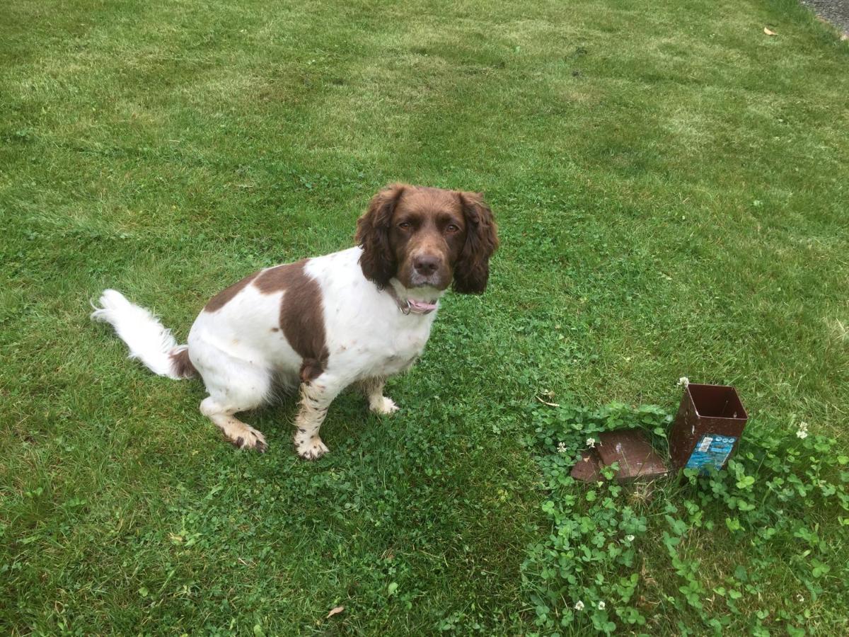 Luxury Dog Friendly Cottage Sleeps 4 Bridlington Eksteriør billede